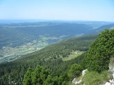 #9 Jura — Top 10 Wine Regions in France 2026