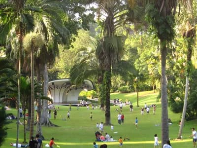 #7 Singapore Botanic Gardens — Top 10 Things to Do in Singapore