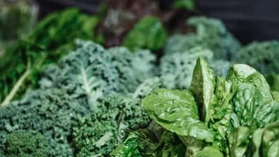 #3 Leafy Greens (Spinach, Kale) — The 10 Healthiest Foods of 2026, Ranked by the Science