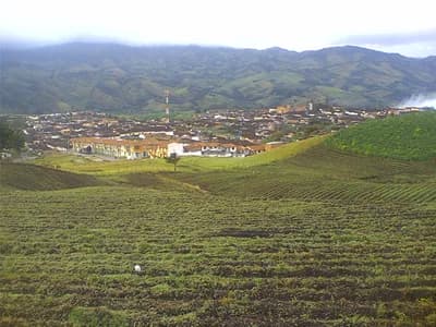 #7 Colombia (Rural Areas) — Top 10 Most Dangerous Countries for Tourists