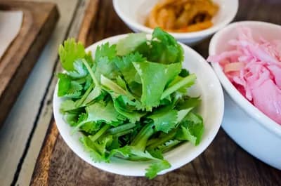 #1 Cilantro — Top 10 Most Polarizing Foods People Love or Hate