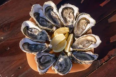 #5 Oysters — Top 10 Most Polarizing Foods People Love or Hate