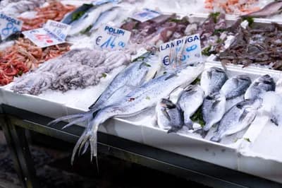 #5 Seafood Fraud and Mislabeling — Top 10 Worst Food Industry Practices of 2026