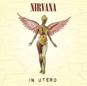 #9 Nirvana Only Had One Great Album — Top 10 Most Polarizing Music Opinions