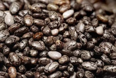 #7 Chia Seeds — Top 10 Superfoods for Health in 2026