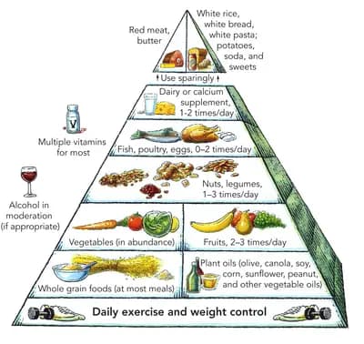 #10 Blood Type Diet — Top 10 Most Controversial Diet Plans