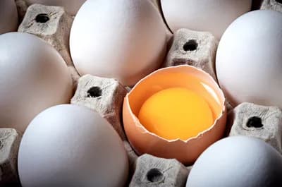#1 Eggs (Whole) — Top 10 Best Protein Sources Ranked