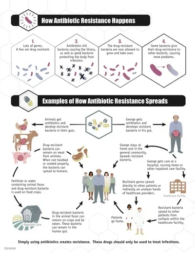 #3 Antibiotic Use in Livestock — Top 10 Most Polarizing: Organic vs Conventional