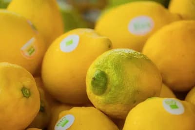 #6 Organic Labeling Fraud and Standards — Top 10 Most Polarizing: Organic vs Conventional