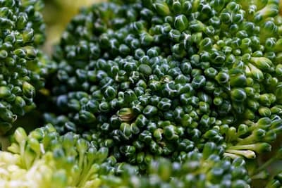 #8 Folate (Methylfolate, 5-MTHF) — Top 10 Best Vitamins for Daily Use
