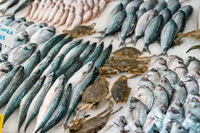 #2 Wild-Caught Fatty Fish (Salmon, Mackerel, Sardines) — Top 10 Best Anti-Inflammatory Foods