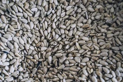 #4 Seed Oil Avoidance Movement — Top 10 Most Controversial Diet Trends