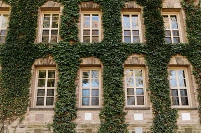 #4 Dartmouth College — Top 10 Most Overrated Ivy League Schools 2026