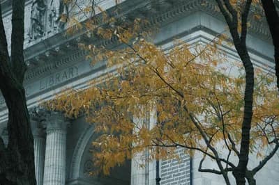#4 New York Public Library (New York, USA) — Top 10 Best Libraries in the World 2026