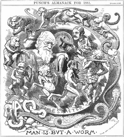 #3 Evolution vs Creationism — Top 10 Most Controversial School Curriculum Topics 2026