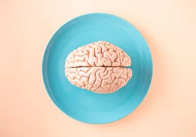 #1 Humans Only Use 10% of Their Brains — Top 10 Debunked Science Myths People Still Believe
