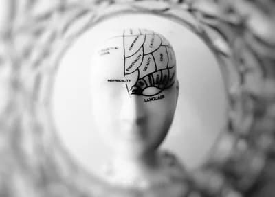 #6 Phrenology's Modern Echoes — Top 10 Worst Pseudoscience Practices