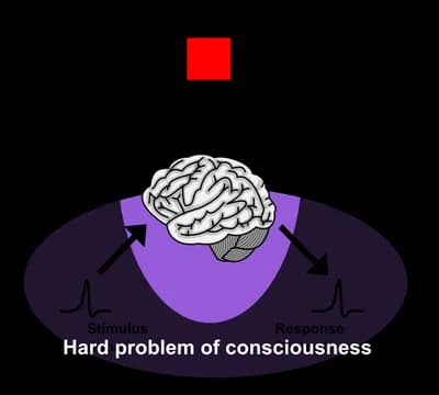 #1 The Hard Problem of Consciousness — Top 10 Most Debated: Can AI Be Conscious?