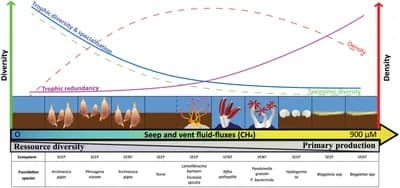 #1 Hydrothermal Vent Ecosystems — Top 10 Best Marine Biology Discoveries
