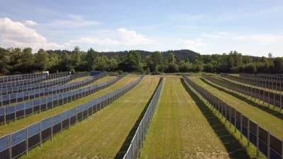 #6 Agrivoltaics (Dual-Use Solar Farming) — Top 10 Best Renewable Energy Technologies