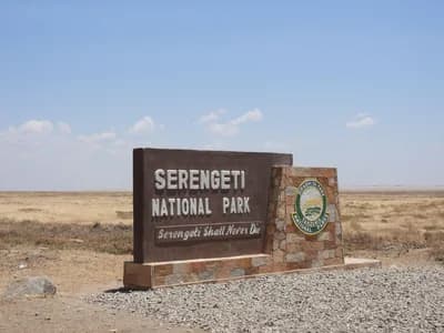 #1 Serengeti National Park, Tanzania — Top 10 Best Wildlife Safari Destinations