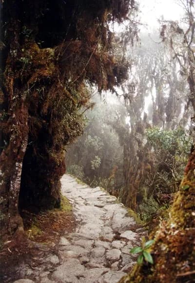 #2 Inca Trail to Machu Picchu, Peru — Top 10 Best Hiking Trails in the World