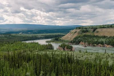 #10 Boreal Forests of Canada — Top 10 Worst Deforestation Hotspots