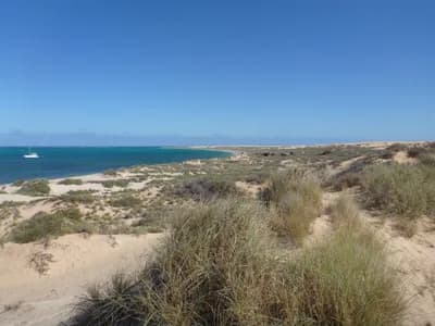 #6 Ningaloo Reef, Australia — Top 10 Most Beautiful Coral Reefs