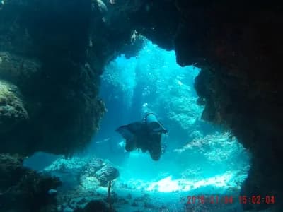#8 Palancar Reef, Cozumel, Mexico — Top 10 Most Beautiful Coral Reefs