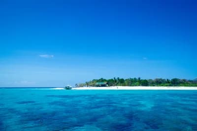 #10 Apo Reef Natural Park, Philippines — Top 10 Most Beautiful Coral Reefs