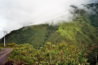 #1 Mindo Cloud Forest, Ecuador — Top 10 Best Birdwatching Destinations
