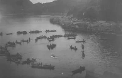 #2 Japanese Dolphin Drive Hunts — Top 10 Most Controversial Hunting Practices
