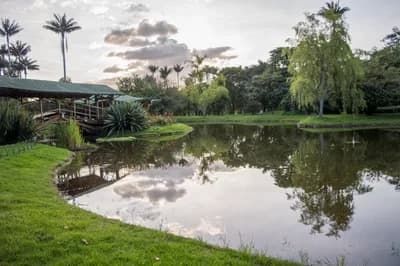 #3 Jardín Botánico de Bogotá, Colombia — Top 10 Best Botanical Gardens in the World
