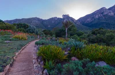 #4 Kirstenbosch National Botanical Garden, South Africa — Top 10 Best Botanical Gardens in the World
