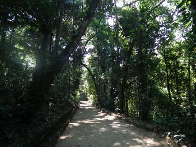 #6 Jardim Botânico do Rio de Janeiro, Brazil — Top 10 Best Botanical Gardens in the World