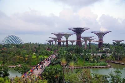 #7 Gardens by the Bay, Singapore — Top 10 Best Botanical Gardens in the World