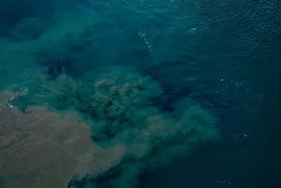 #10 Deep-Sea Mining Sediment Plumes — Top 10 Worst Ocean Pollution Sources
