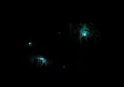 #2 Waitomo Glowworm Caves, New Zealand — Top 10 Most Beautiful Caves in the World (2026)