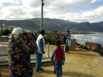 #2 Hermanus, South Africa — Top 10 Best Whale Watching Spots 2026