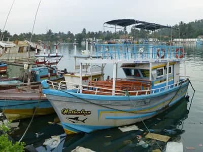 #8 Mirissa, Sri Lanka — Top 10 Best Whale Watching Spots 2026