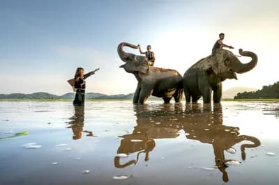 #6 Elephant Tourism in Southeast Asia — Top 10 Most Controversial Animal Rights Issues