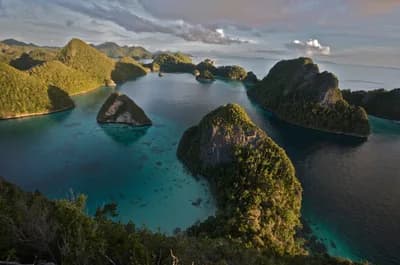 #1 Raja Ampat, Indonesia — Top 10 Best Diving Ecosystems