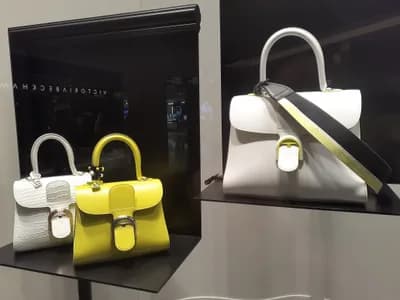 #5 Delvaux — Top 10 Best Handbag Brands 2026