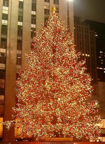 #3 Rockefeller Center Christmas Tree Viewing (New York) — Top 10 Most Overrated Holiday Events