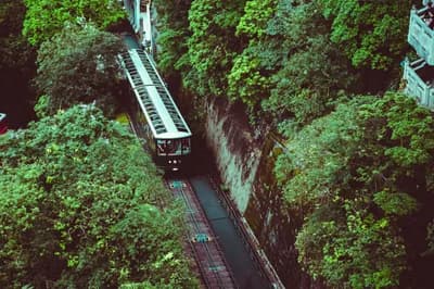 Peak Tram and Sky Terrace 428