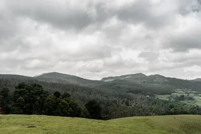 #4 Ooty — Top 10 Hill Stations in India 2026