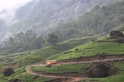 #5 Munnar — Top 10 Hill Stations in India 2026