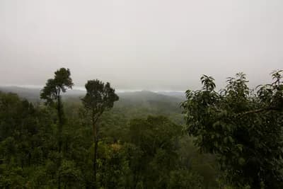 #8 Coorg (Kodagu) — Top 10 Hill Stations in India 2026