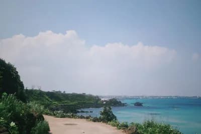 #5 Jeju Olle Trail Route 10 — Top 10 Korean Hiking Trails 2026