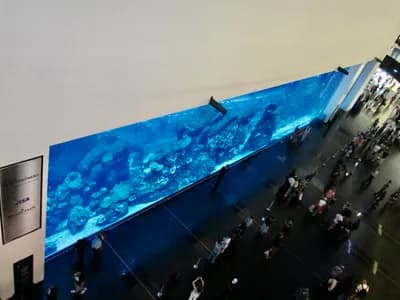 #3 Dubai Aquarium & Underwater Zoo — Top 10 Family Attractions in Dubai in 2026